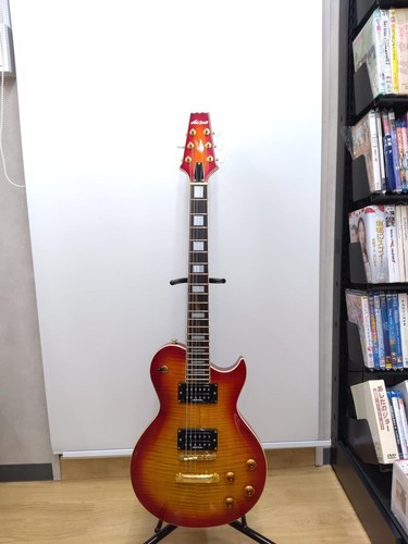 Aria pro2 dlx chitarra - pro2, pe-dlx