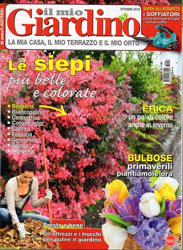 Mio giardino 2018 - il,