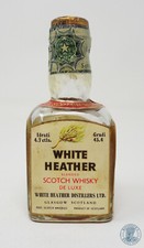 Miniature / Mignon Scotch