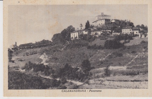Calamandrana - calamandrana,