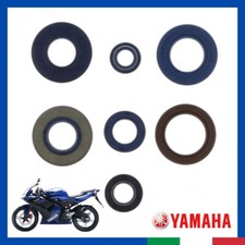 Kit paraolio revisione motore