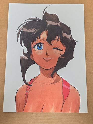 Raro gunsmith cats - raro!!!,