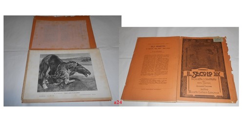 Secolo xix di h kraemer - xix, h.kraemer
