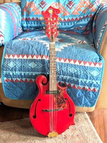 Mandolino elettrico acustico - elettrico,
