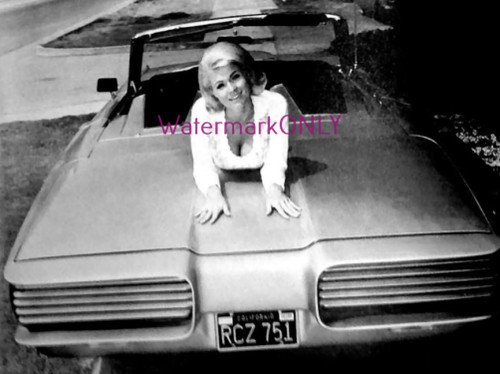 Bellissima foto auto - bellissima,