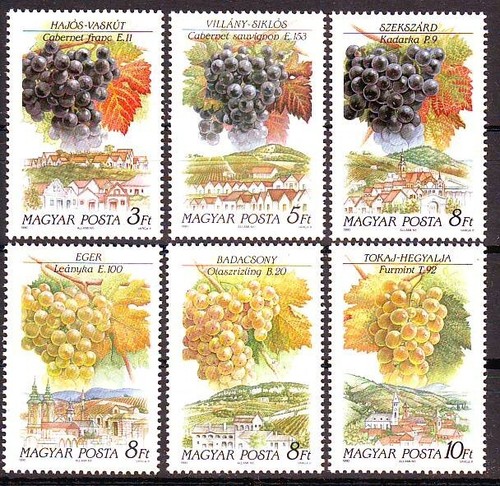 Ungheria 1990 vino - ungheria, uva