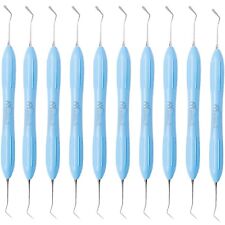 10PCS Modella Strumenti di Riempimento Compositi Dentali Manico Silicone Restaurativo