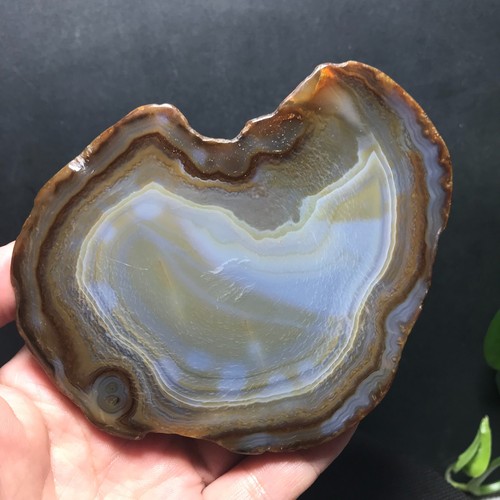 Fetta lastra geode - fetta, agata