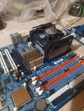 schede madri usate Asus