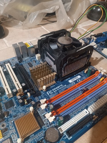 Schede madri usate asus - usate,