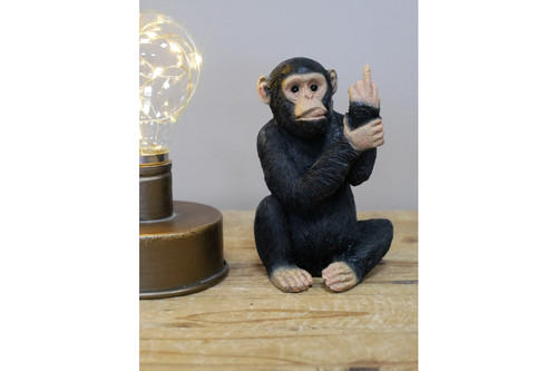New yours monkey - yours, house