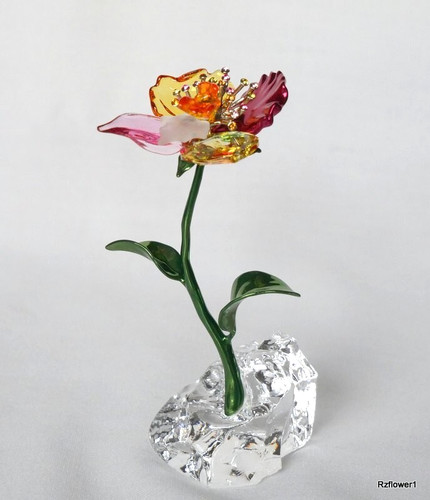Splendido fiore idillia - di,
