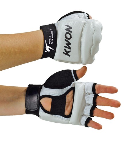 Kwon paramani taekwondo
