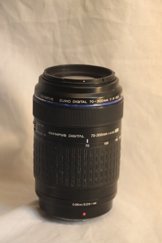 Olympus zuiko digital 300mm - olympus,