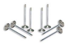 KIT 8 MAGNIFIED VALVES MALOSSI