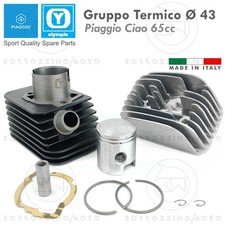 GRUPPO TERMICO OLYMPIA 65cc