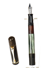 Pelikan stantuffo 100