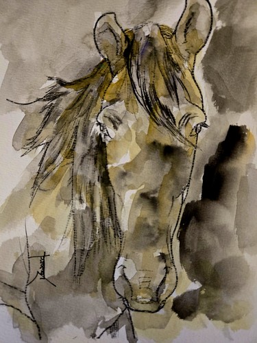 Quadro acquerello cavalli