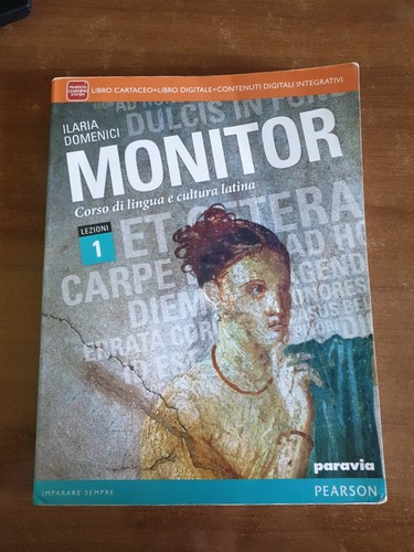 Monitor corso lingua - monitor,