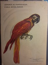 CARTOLINA PUBBLICITARIA  PAPPAGALLO CODOGNATO     NV  FG