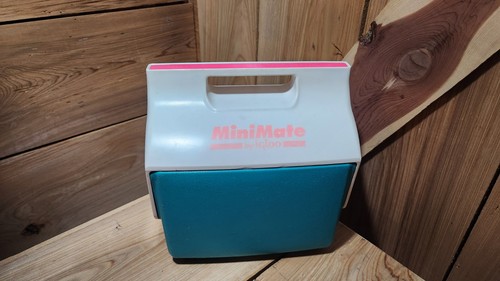 Igloo mini mate teal - igloo, &