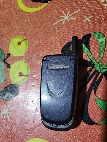 Cellulare motorola v51 gsm - motorola,