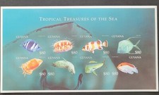Guyana 2000/Tropical Marine