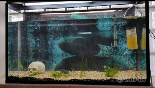 Acquario fatto mano 125 - fatto,