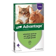Advantage antiparassitario - advantage, 80