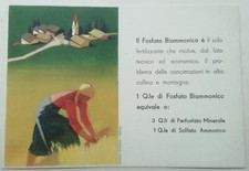 CARTOLINA FOSFATO AMMONIACA AGRICOLTURA ILLUSTRATA DUDOVICH ? PUBBLICITARIA 