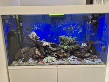 Acquario usato 200 litri con Mobile