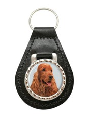 Inglese Cocker Spaniel Pelle