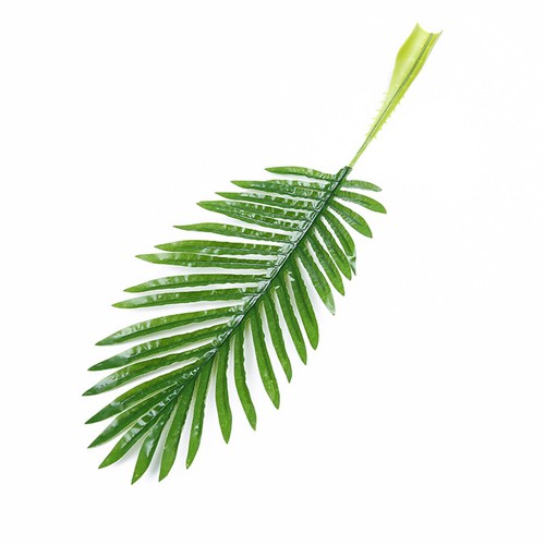 Pcs foglie decorative - 5, finte