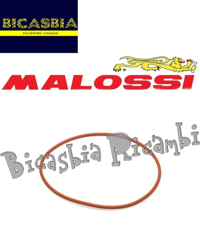 19174 ring malossi ø - 19174, o