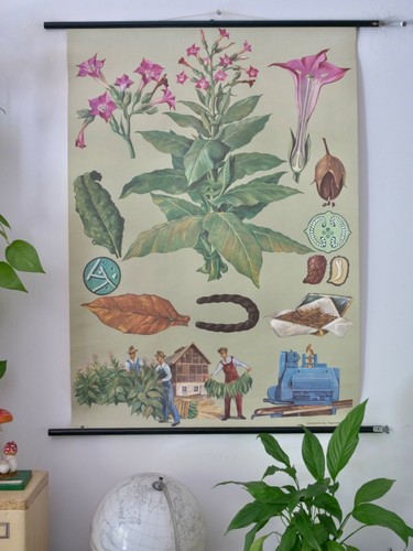 Vintage carta da parete - vintage,