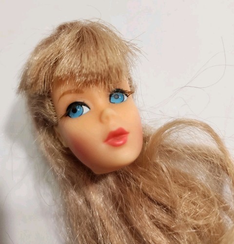 Barbie head only - tnt, summer