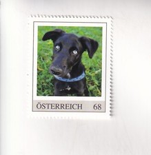 FRANCOBOLLO PM Austria CANI