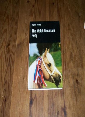 The welsh mountain pony allen - welsh,