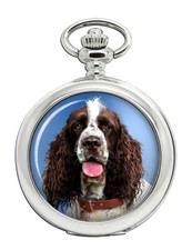 Inglese Springer Spaniel