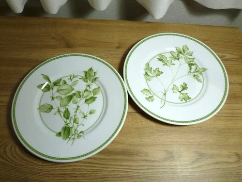 Richard ginori piatti - piatti, modello