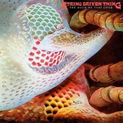 String driven thing the - string,