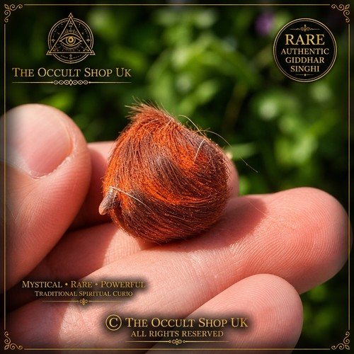 Rare giddar singhi - rare,