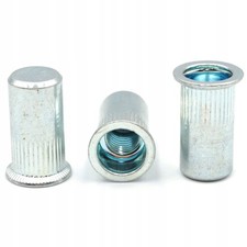 1000x Dadi Rivetti Flangia