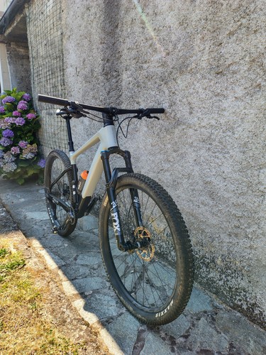 Bicicletta mtb focus - mtb, raven