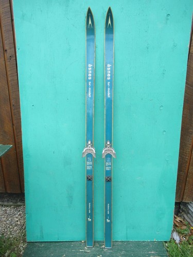 Vecchi sci neve - sci, da
