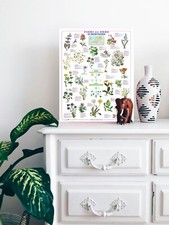 Quadro Planisfero arredamento