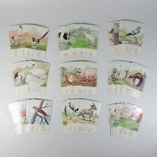 MAZZO CARTE DA GIOCO D'EPOCA TAVOLO ANIMALI DIZIONARIO FRANCESE TEDESCO VINTAGE