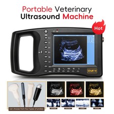 Ecografia Veterinaria
