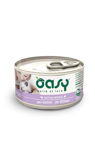 Gatto mousse per - mousse, gattini