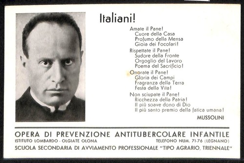 Ab5256 cartolina d - ab5256,
